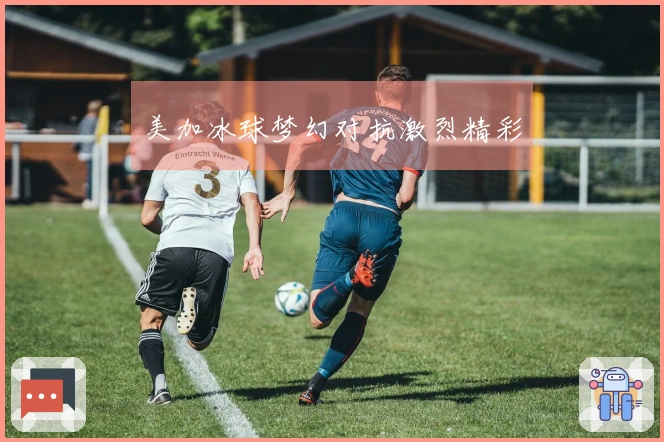 美加冰球梦幻对抗激烈精彩