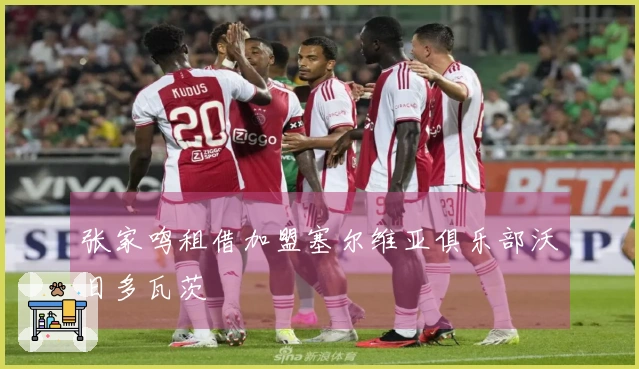 张家鸣租借加盟塞尔维亚俱乐部沃日多瓦茨