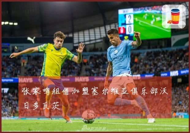 张家鸣租借加盟塞尔维亚俱乐部沃日多瓦茨